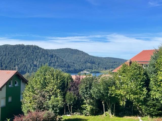 Le Chalet De Juliette Gérardmer Kültér fotó