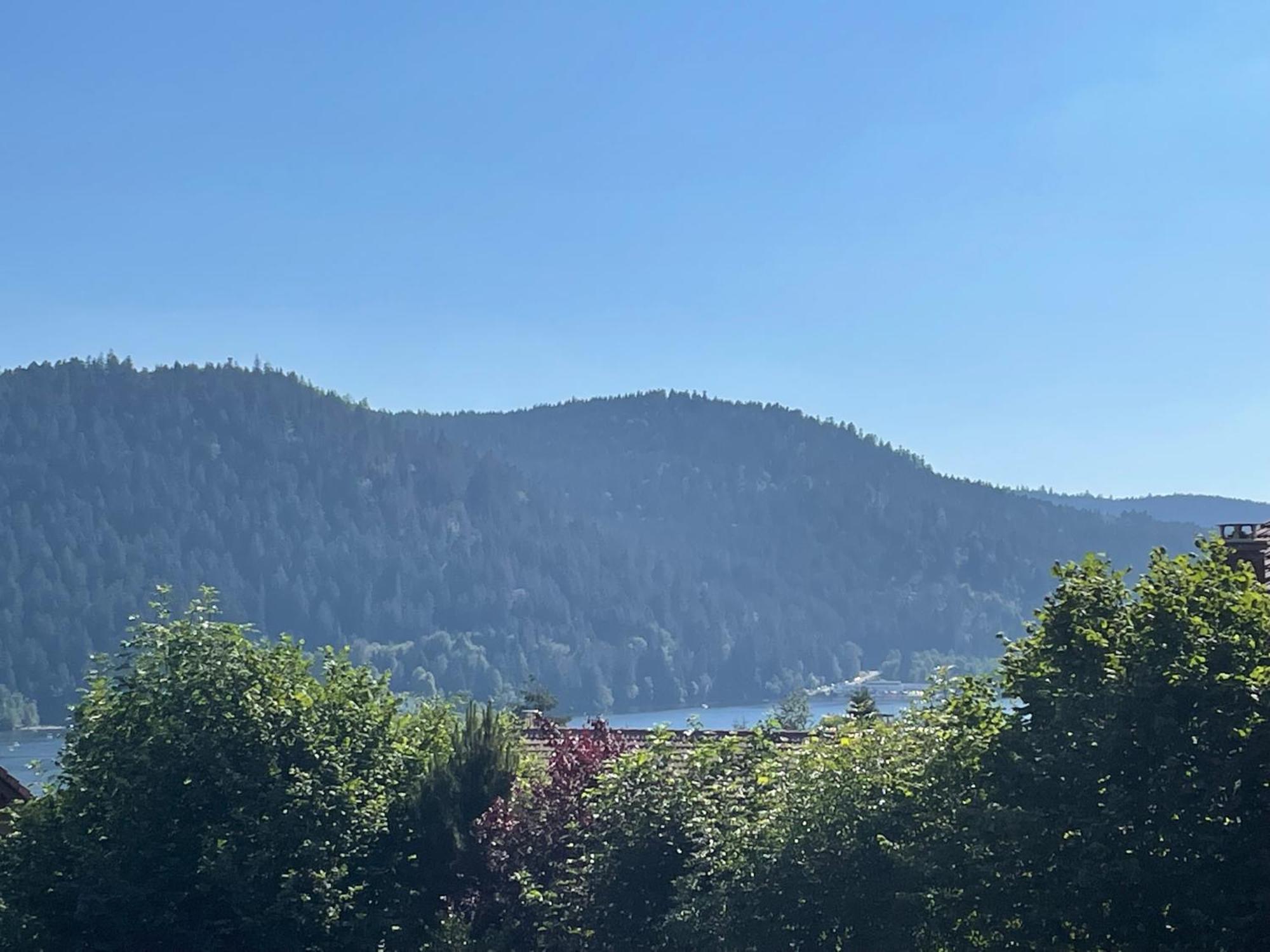 Le Chalet De Juliette Gérardmer Kültér fotó