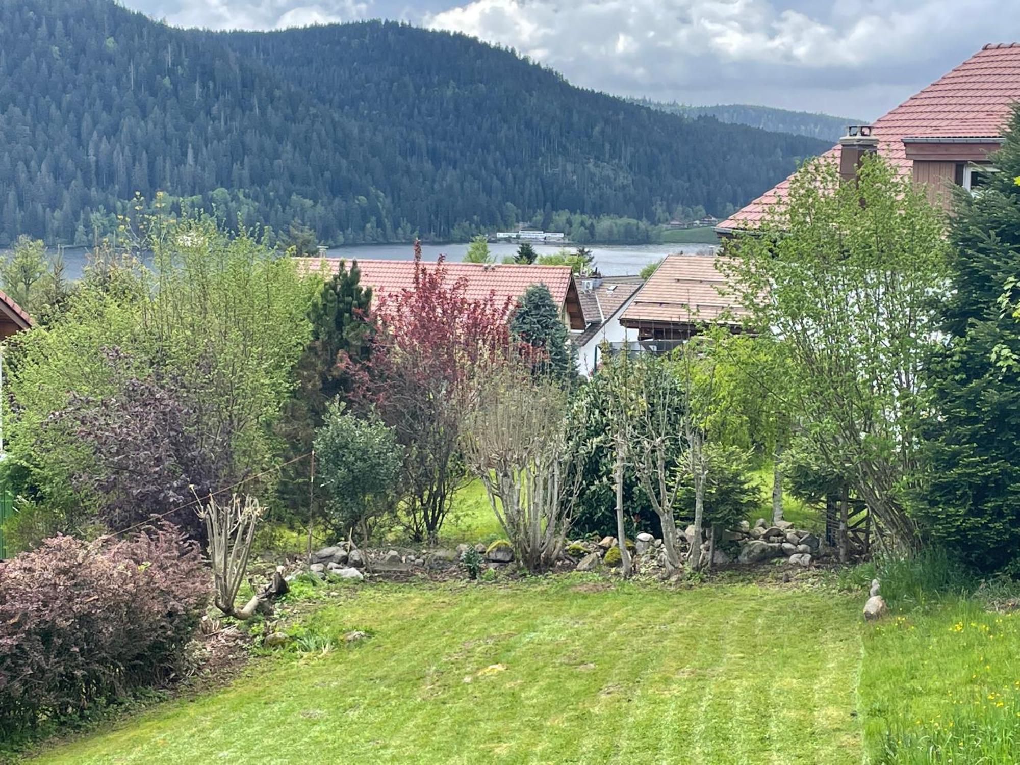 Le Chalet De Juliette Gérardmer Kültér fotó